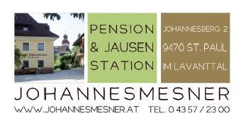 logo johannesmesner